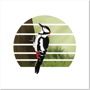 jz.birds Woodpecker Bird Animal Art Posters and Art